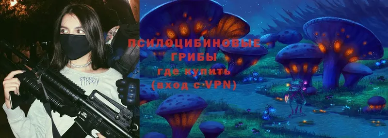 Галлюциногенные грибы Magic Shrooms Вытегра