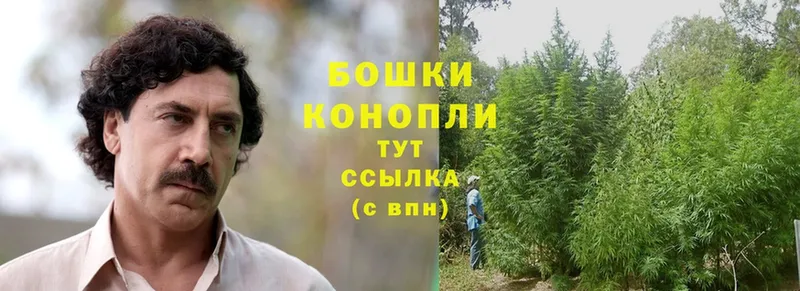 Бошки Шишки OG Kush  Вытегра 